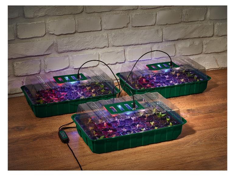 LED-Anzuchtkasten-Set