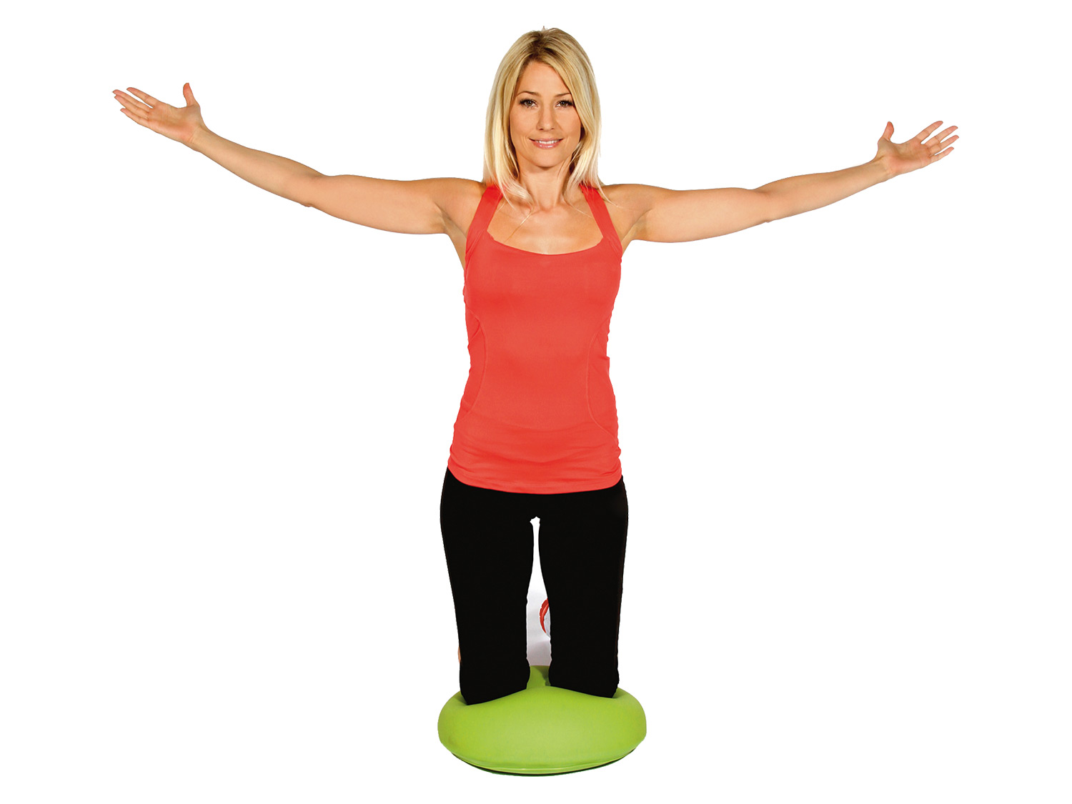 Thumbnail - Schildkröt Half-Ball Dynamic