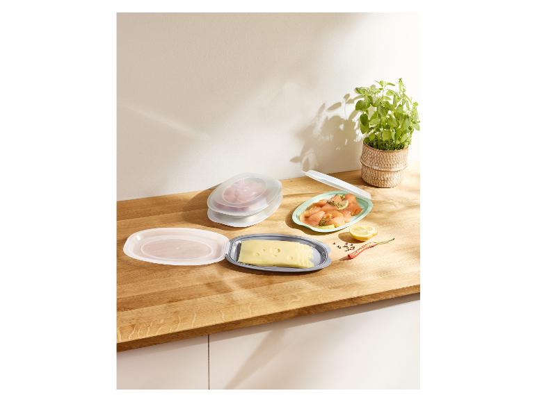 Plastikbehälter mit Käse, Lachs und Fleisch, mit einer Topfpflanze im Hintergrund.