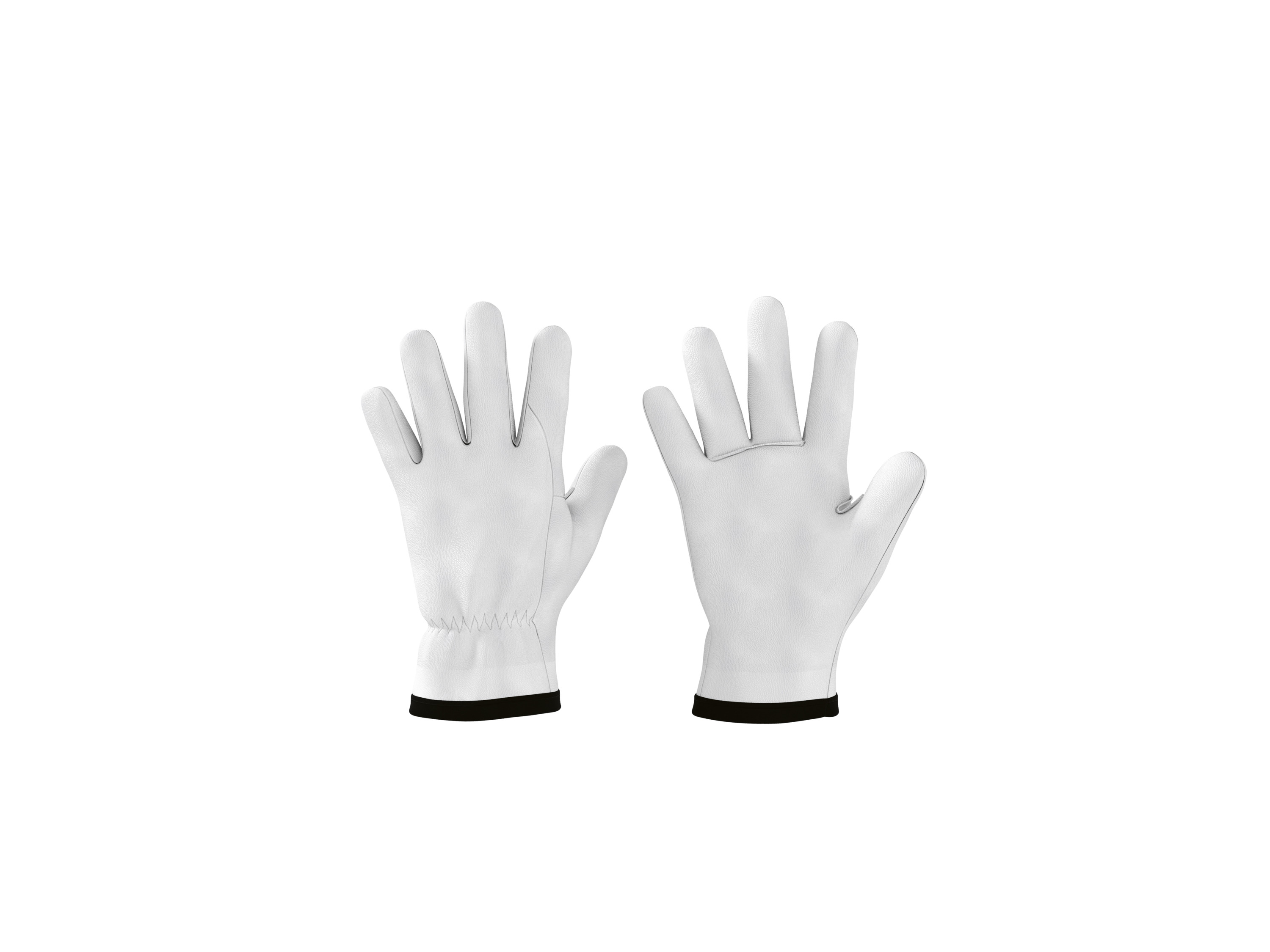 PARKSIDE PERFORMANCE® Vollleder-Gartenhandschuhe (10)""