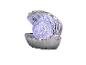 Offene silberne Muschel mit einer Glitzerkugel im Inneren, die violett leuchtet.