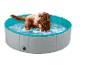 Brauner Hund steht in einem faltbaren Haustierpool voller Wasser.