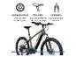 Grünes Mountainbike mit Scheibenbremsen, MTB-Sattel und 80 mm Federgabel.