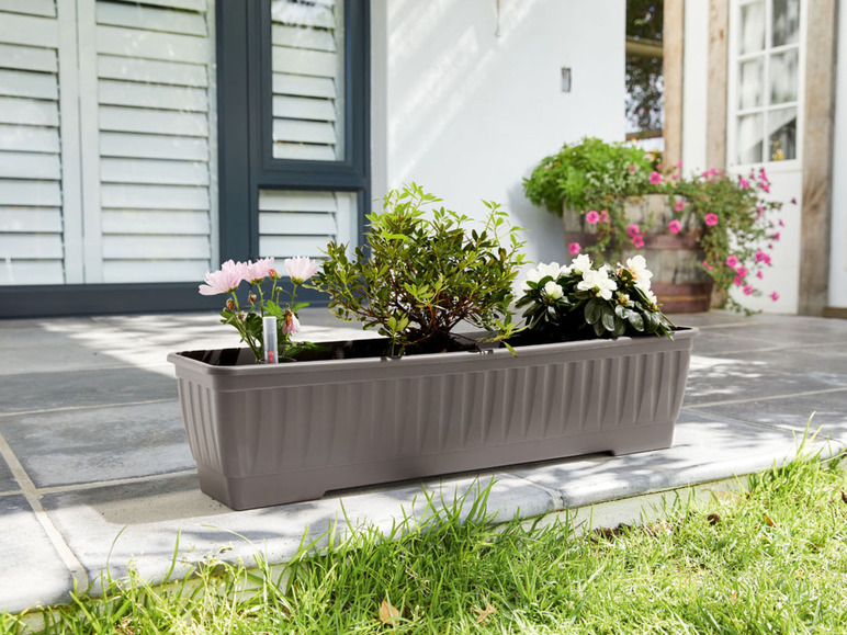 Gehe zu Vollbildansicht: PARKSIDE® Blumenkasten, 80 cm, mit Wasserstandanzeige, PreZero - Bild 7