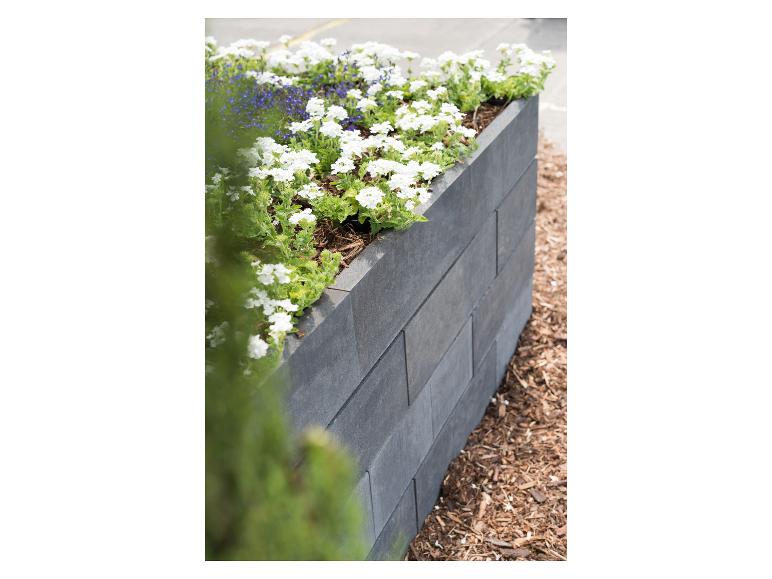 Weiße und blaue Blumen in einem dunkelgrauen Pflanzgefäß mit Holzspänen.