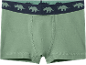 Grüne Jungen-Boxershorts mit blauem Gummibund und Dinosaurier-Print.