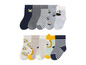 Ein Set mit 12 Baby-Socken mit Zebra- und Löwen-Motiv