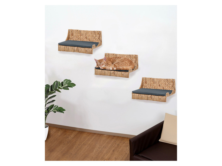 Drei geflochtene Katzenbetten an der Wand, auf einem schläft eine Katze.
