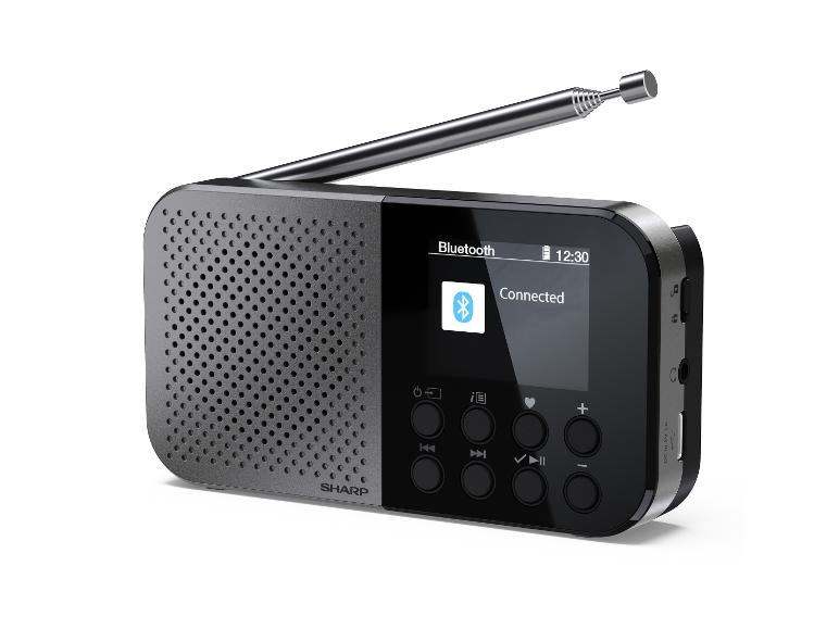 Tragbares Digitalradio mit Bildschirm, Bluetooth und Teleskopantenne.