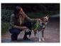 Frau mit Hund und der MAX & MILA'S WORLD Hundeleine mit Rückzugsmechanismus und LED.