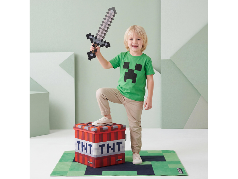 Junge in grünem T-Shirt hält ein Pixelschwert, steht auf einer TNT-Aufbewahrungsbox.