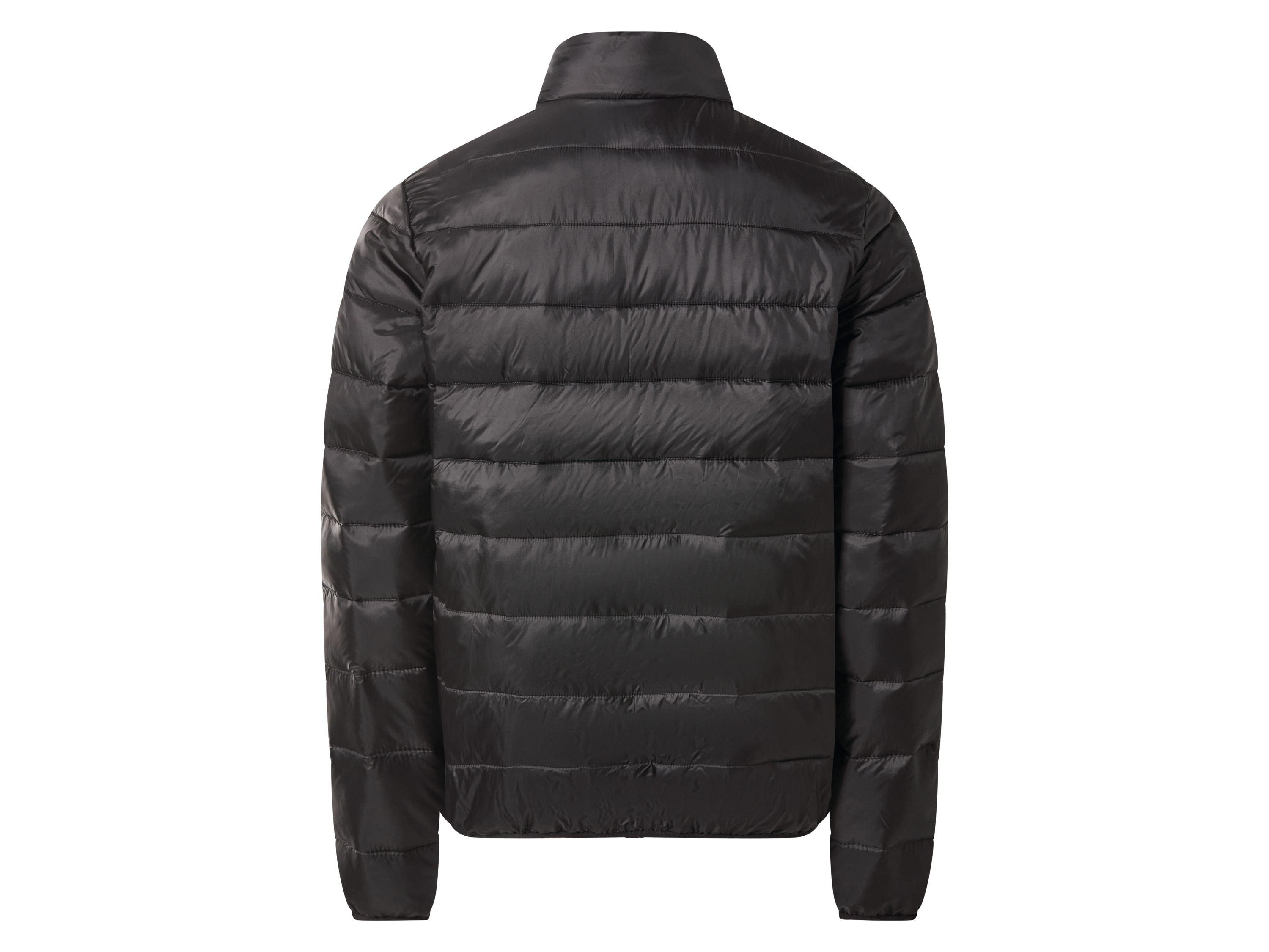 Thumbnail - esmara Men Herren Steppjacke (Schwarz, M (48/50))