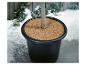 Topfpflanze mit Kokosmatte, umgeben von Schnee auf einer Holzterrasse.