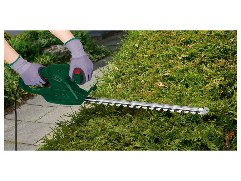 Eine grüne Heckenschere wird verwendet, um eine Hecke zu beschneiden.