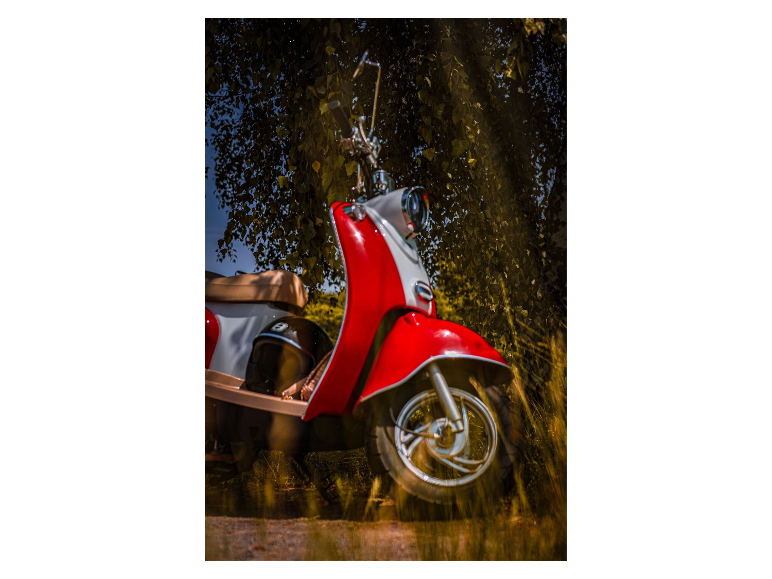 Ein rot-weißer Roller, der unter einem Baum geparkt ist.