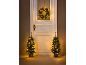 Weihnachtskranz und zwei kleine Weihnachtsbäume mit Lichtern an einer Tür.