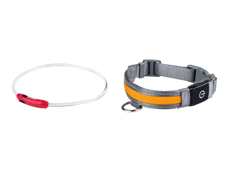 Gehe zu Vollbildansicht: Zoofari LED Hundehalsband / Hundeleuchtband mit USB-Anschluss - Bild 1