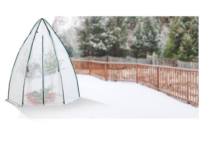 Transparentes Kuppelgewächshaus mit Pflanzen auf einer verschneiten Terrasse