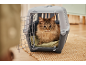 Katze in einer Transportbox mit offener Tür, sitzt auf einer grünen Decke.