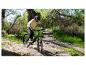 Mann auf einem E-Bike auf einem Waldweg, genießt eine Fahrt im Freien.
