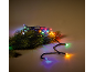 Weihnachtsbeleuchtung mit bunten LEDs auf einem grünen Tannenzweig, die lebendige Reflexionen werfen.