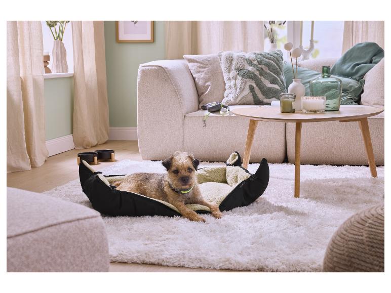 Hund liegt in einem Hundebett auf einem flauschigen Teppich in einem Wohnzimmer mit Sofa und Couchtisch.
