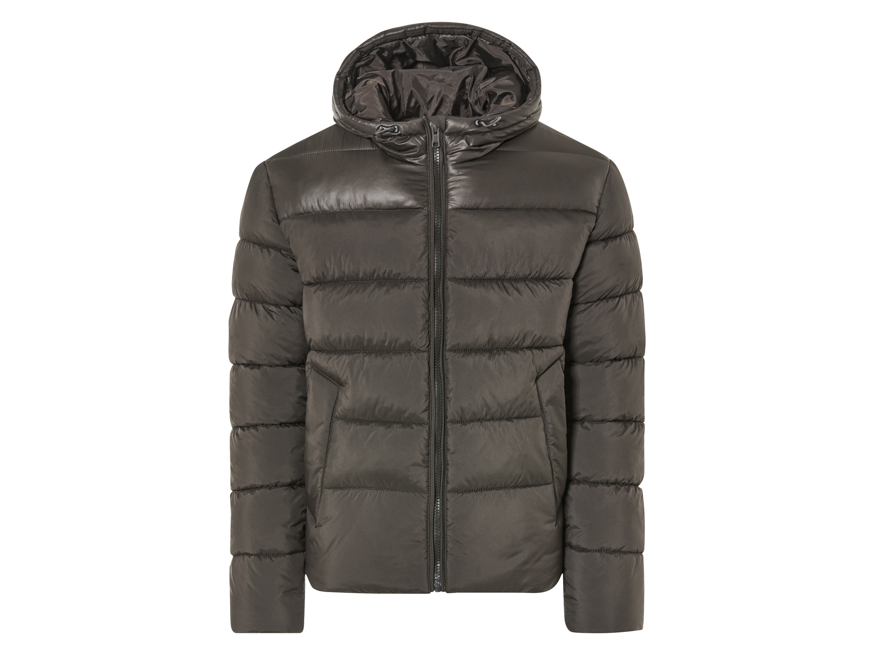 LIVERGY® Herren Steppjacke Thermo (Braun, XL (56/58)) | 04335814082086