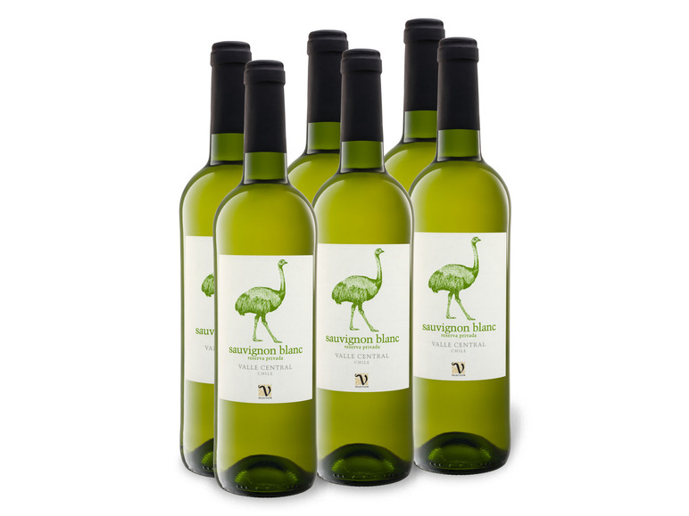 Gehe zu Vollbildansicht: 6 x 0,75-l-Flasche Cimarosa Sauvignon Blanc Reserva Privada Chile, Weißwein - Bild 1