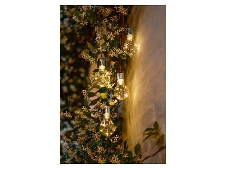 Lichterkette mit klaren Glühbirnen und kleinen weißen Blüten an einer Wand.