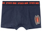 Blaue Spider-Man Boxershorts mit rotem Spinnennetz-Logo.