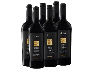 6 x 0,75-l-Flasche Weinpaket Vigna La Capa Brindisi Rosso Riserva DOC trocken, Rotwein