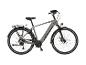 Graues Elektro-Citybike mit Gepäckträger und Vorder- und Rücklichtern.