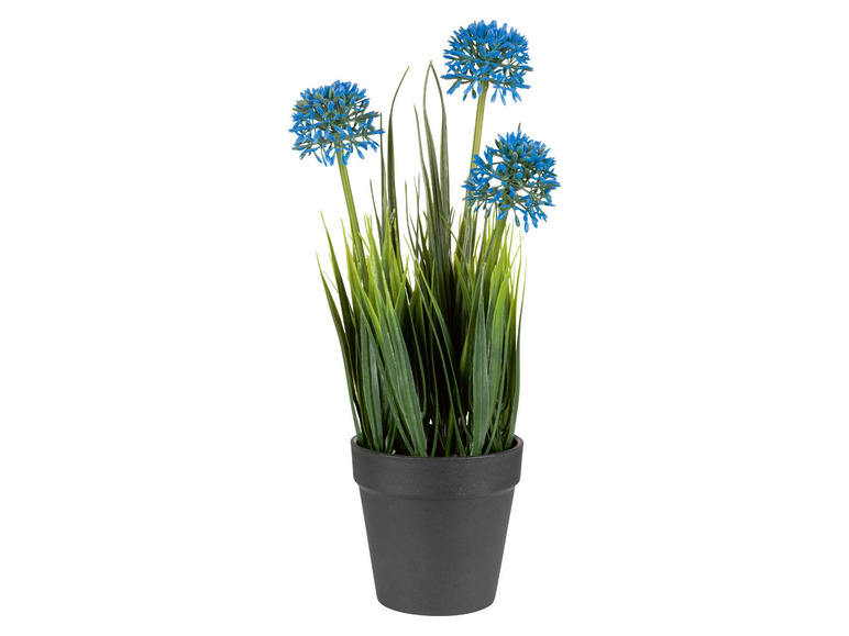 Gehe zu Vollbildansicht: LIVARNO home Kunstpflanze Orchidee / Blaulauch / Ranunkel - Bild 3