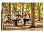 Eine Gruppe von Menschen genießt ein Essen an einem Klapptisch im Wald.
