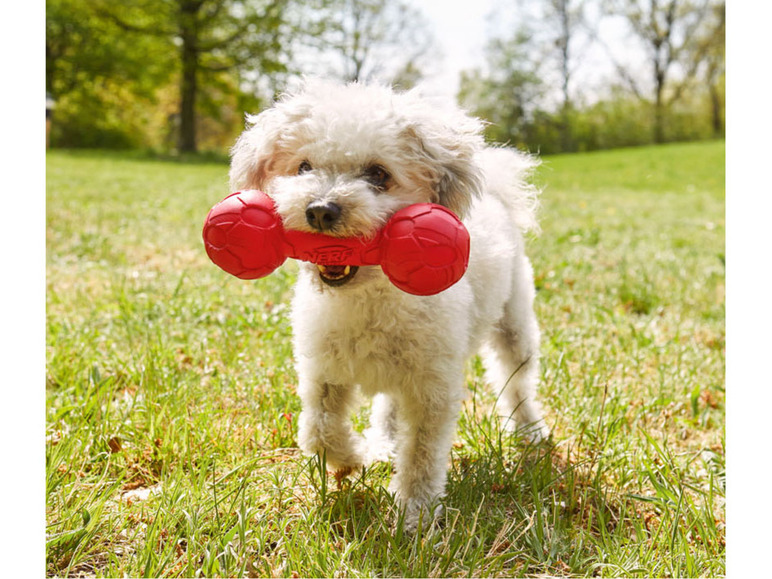 Gehe zu Vollbildansicht: Nerf Dog Hundespielzeug - Bild 5