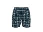 Herren-Karo-Shorts in Blau, Weiß und Grau
