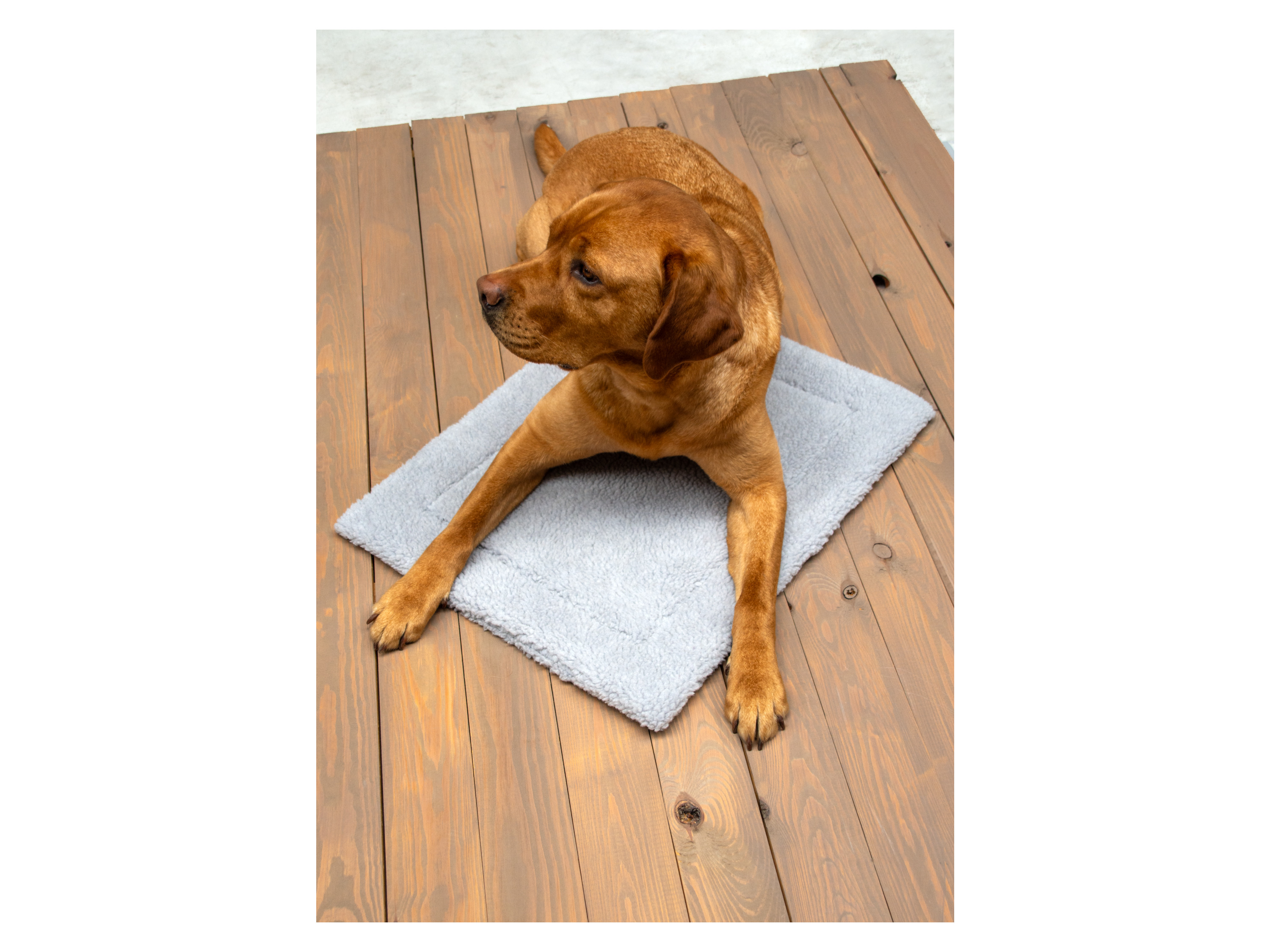 Karlie Haustier Wärmematte (Hellgrau) | 04016598124994