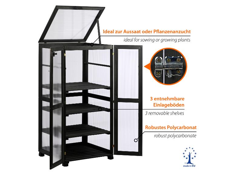 Holz-Mini-Gewächshaus mit transparenten Polycarbonatplatten und herausnehmbaren Regalböden für Pflanzen.