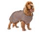 Cocker Spaniel in brauner Hundejacke mit Pfote und Schriftzug