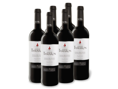 6 x 0,75-l-Flasche Weinpaket Altos de Tamaron Ribera del Duero DO trocken, Rotwein