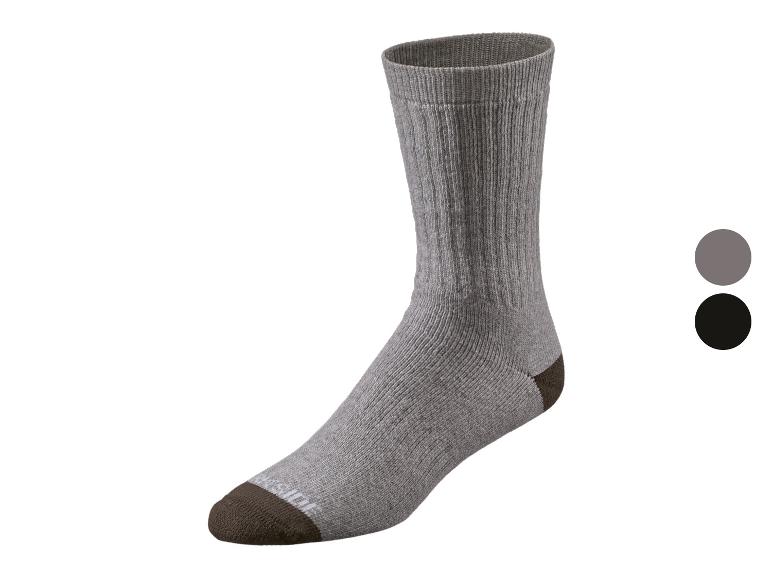 Eine einzelne graue Socke mit dunkelbrauner Ferse und Spitze, mit Farbmustern.