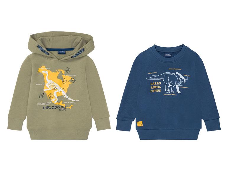 Zwei Jungen-Pullover mit Dinosauriern: ein grüner Hoodie mit einem Diplodocus und ein blauer Pullover mit einem Parasaurolophus.