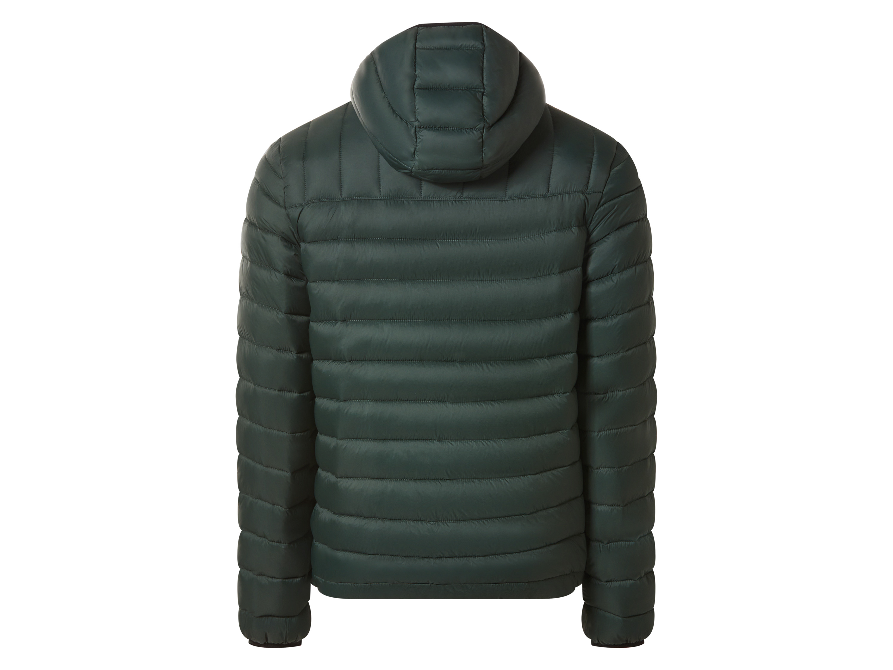 Thumbnail - esmara Men Herren Jacke Lightweight (Grün, S (44/46))