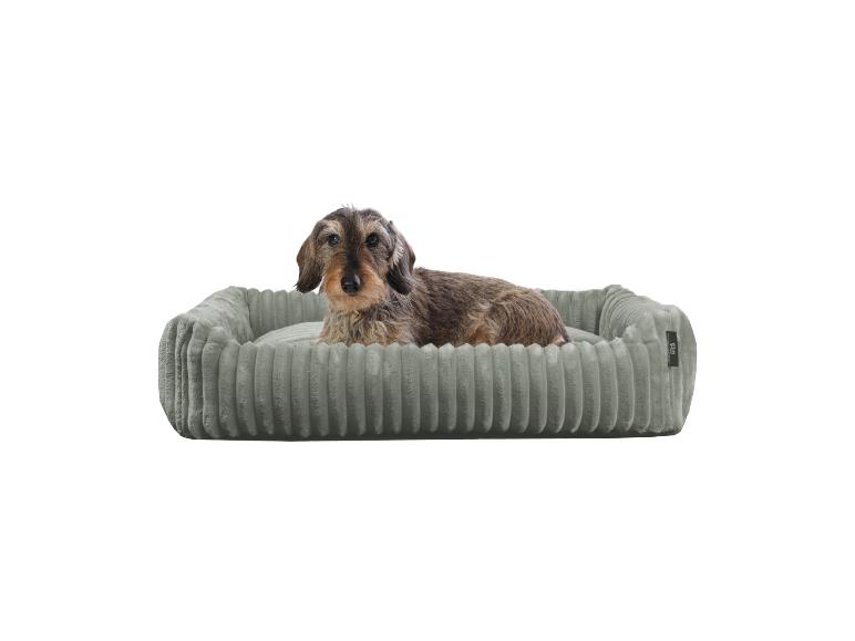 Hundebett aus Cord, modernes Design.