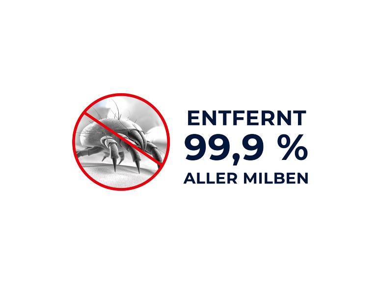 Milben-Handstaubsauger