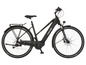 Ein schwarzes Fischer Viator 4.21 E-Bike mit Gepäckträger.