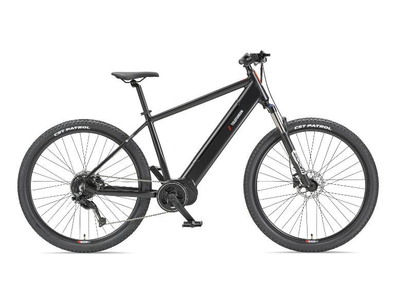 TELEFUNKEN E-Bike Mountainbike Aufsteiger MT925, 29 Zoll