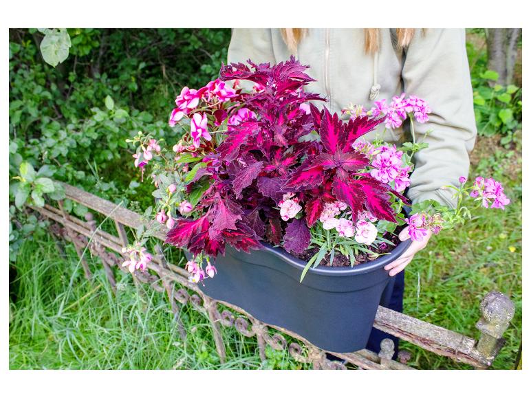 KHW Balkonkasten Flowerclip XL, 2er Set | Lidl