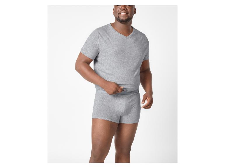 Boxer, 3 Stück