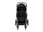 Schwarzer Kinderwagen mit goldenem Gestell und braunem Griff.